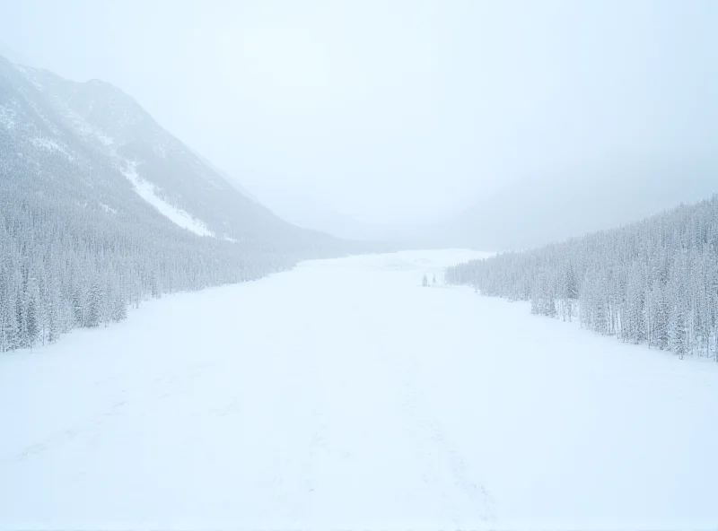 A snowy mountain landscape with visible signs of an avalanche.