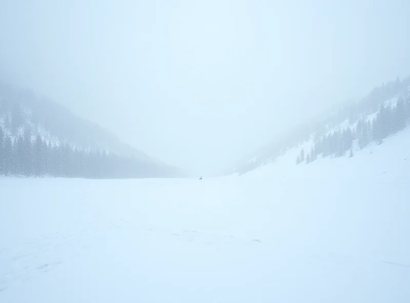 Snowy Alaskan mountains with helicopter tracks in the snow.