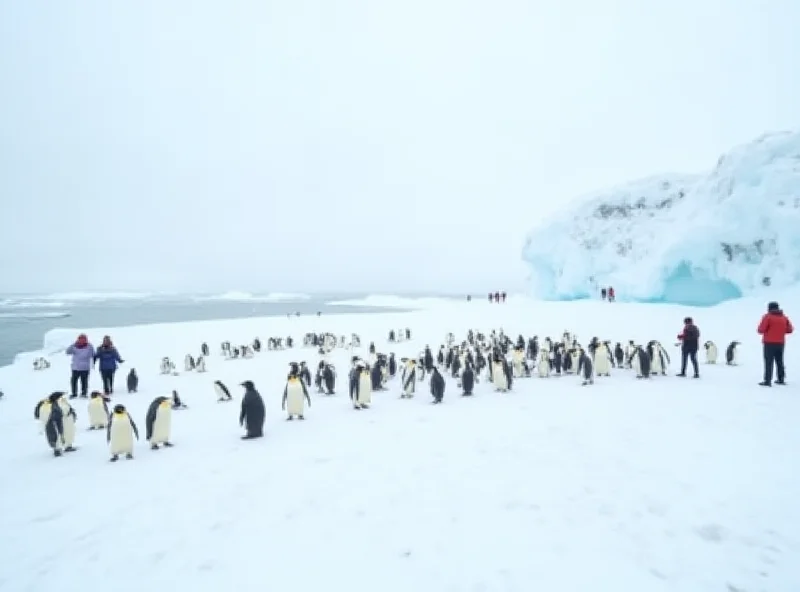 A large group of tourists standing on a snowy beach in Antarctica, with penguins visible in the background.