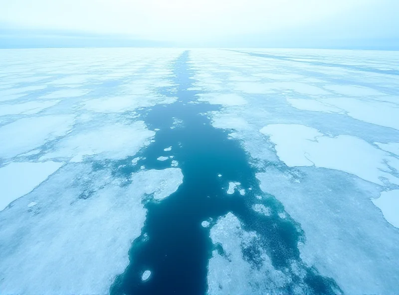 Satellite image of Arctic sea ice