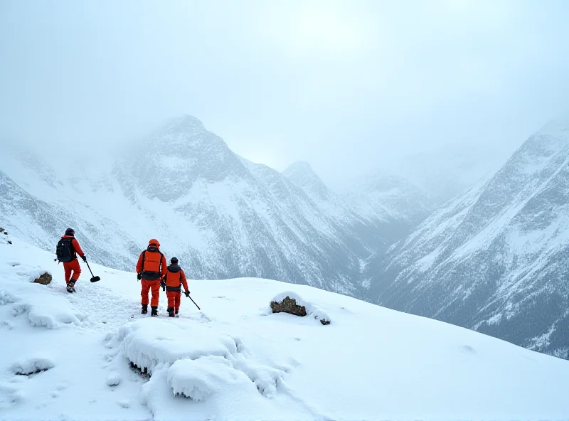 Snowy mountain landscape with rescue workers in the distance.