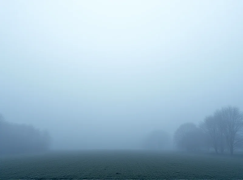 Landscape with thick fog and limited visibility.