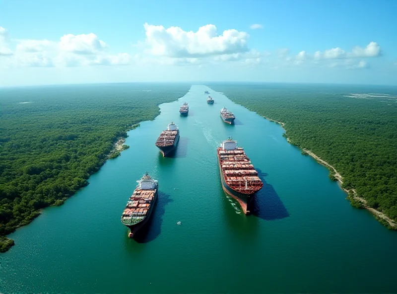 Aerial view of the Panama Canal with container ships passing through locks.