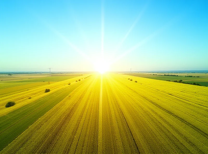 Aerial view of a vast Brazilian agricultural landscape with fields of crops stretching into the horizon under a bright sunny sky.