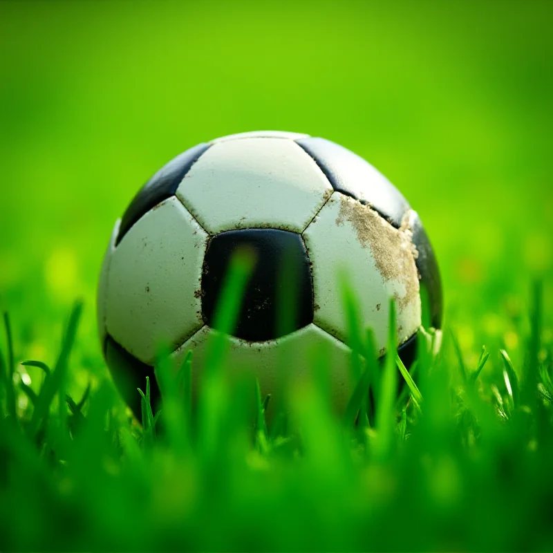 Close up of a soccer ball on the grass.