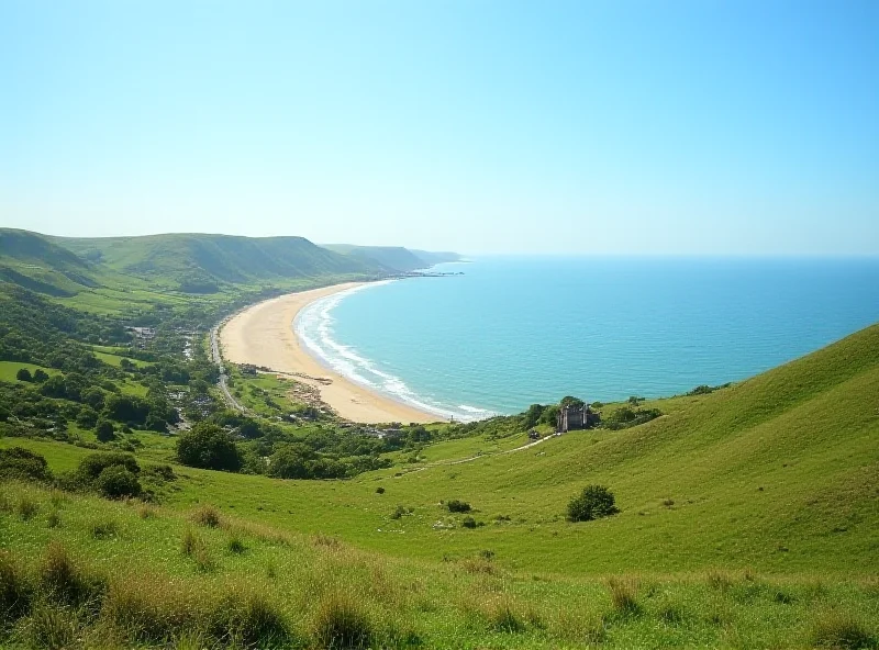 A scenic view of the Devon coastline with rolling green hills, a sandy beach, and the blue sea under a clear sky. In the distance, a luxury hotel or castle is visible.