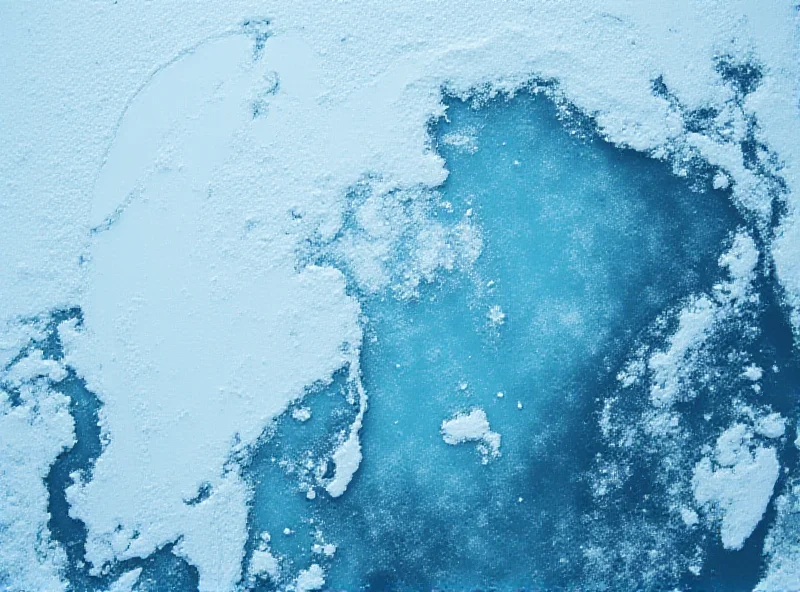 Satellite image of shrinking polar ice caps.