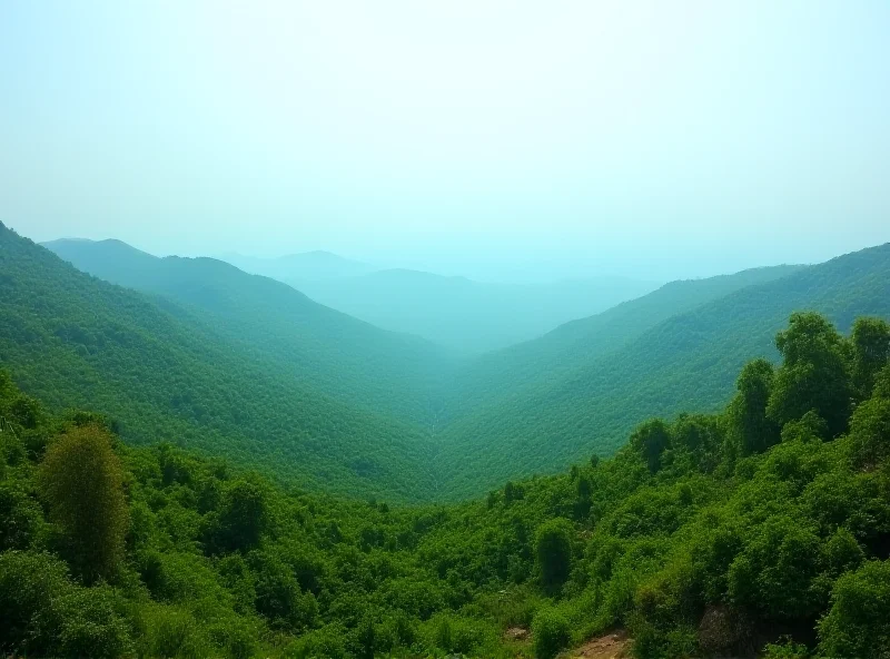 A photo showing a landscape of the Kivu region in eastern Congo, known for its rich mineral deposits.