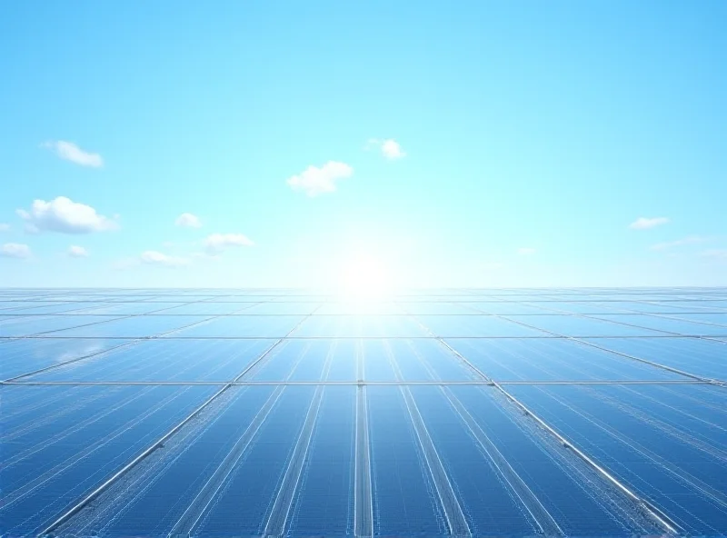 Solar panels stretching to the horizon under a bright blue sky, symbolizing clean energy and American innovation.