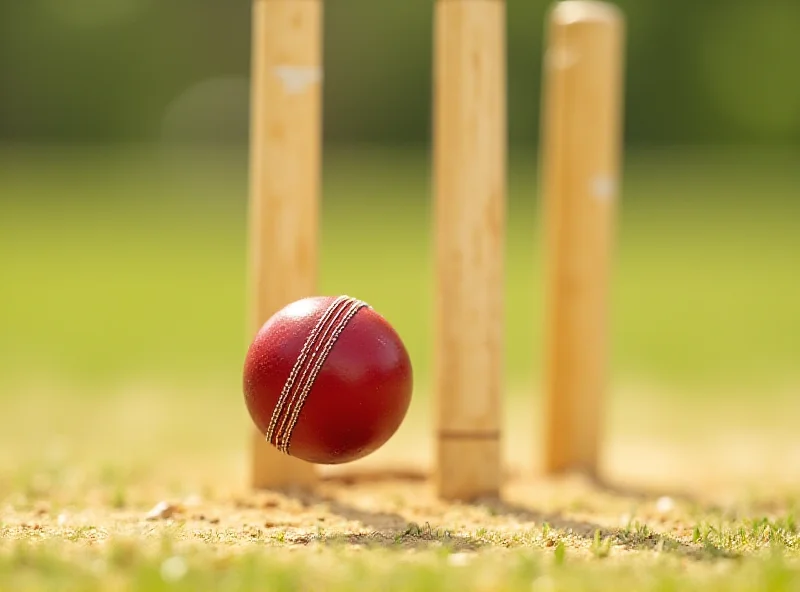 Close-up of cricket stumps with ball impacting but bails unmoved