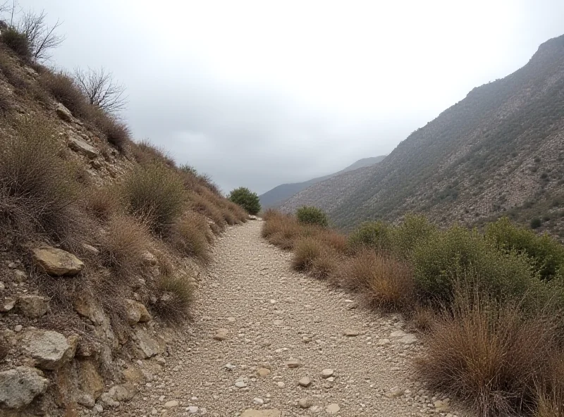 A rocky mountain path with a steep drop-off. The sky is overcast.