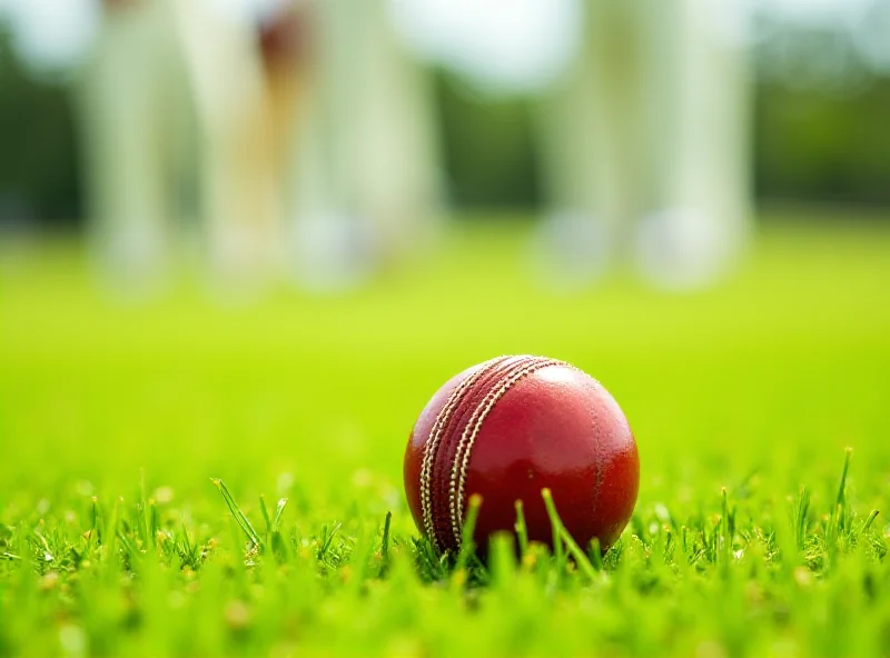 Close-up of a cricket ball on a pitch, with blurred players in the background