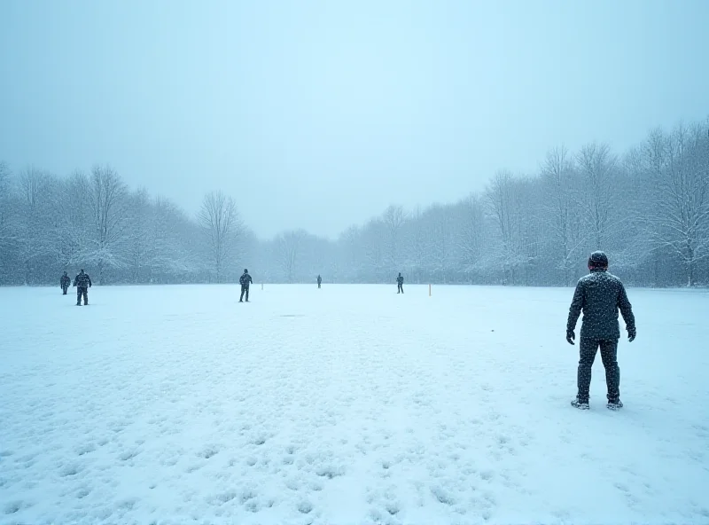 A cricket match in winter with snow on the ground and gloomy skies.