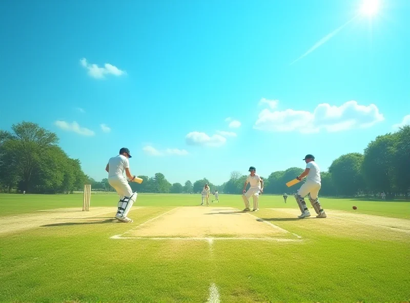 Cricketers in action on a sunny field