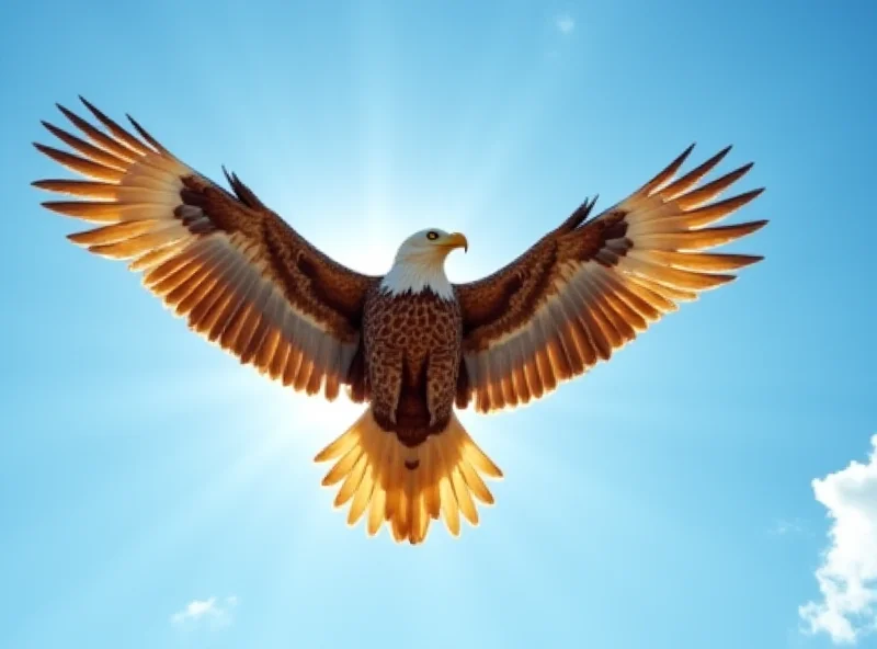 A golden eagle soaring through the sky