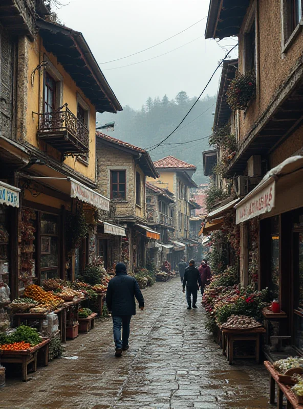 Image of a Bosnian street scene