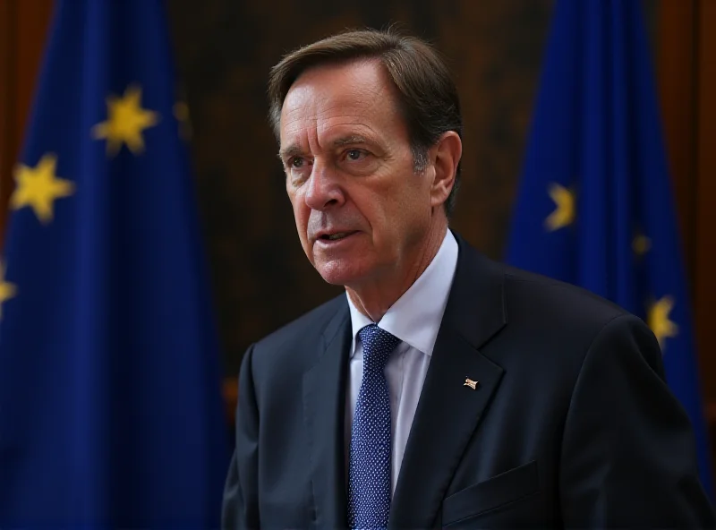 David McAllister speaking at a European Parliament meeting