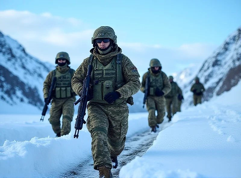 Military personnel participating in a training exercise in a snowy environment in Norway