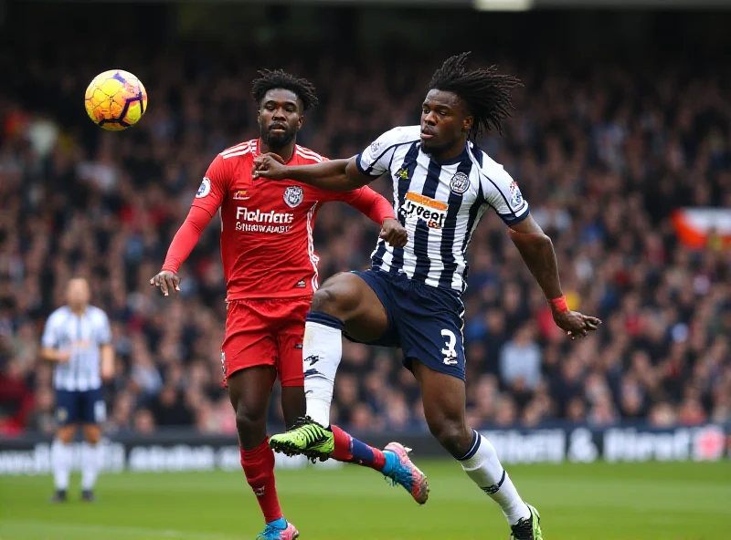 Action shot from the Leeds United vs. West Brom Championship match