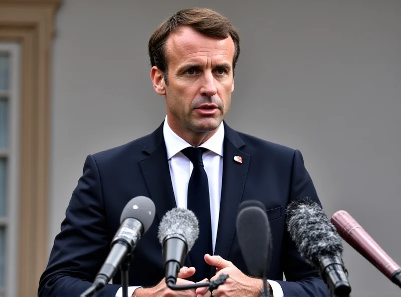 French President Emmanuel Macron speaking at a press conference