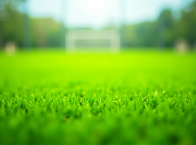 Image of a soccer field with a blurred background to represent the sport of soccer.