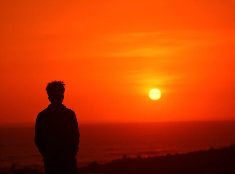 A contemplative figure silhouetted against a sunset, representing philosophical reflection on life and death.