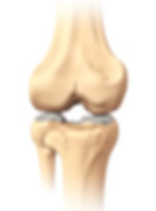 Illustration of healthy joints with strong cartilage