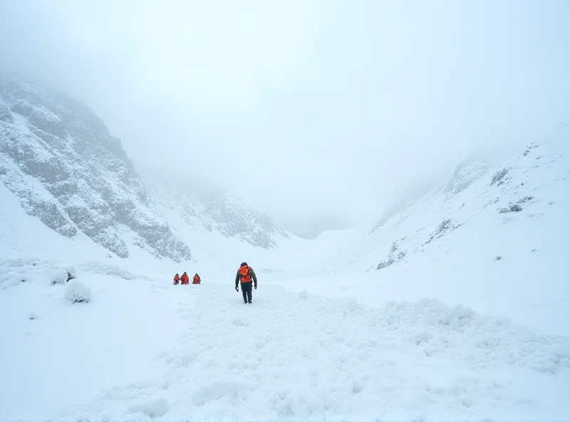 Snowy mountain landscape with rescue team searching through snow after an avalanche.