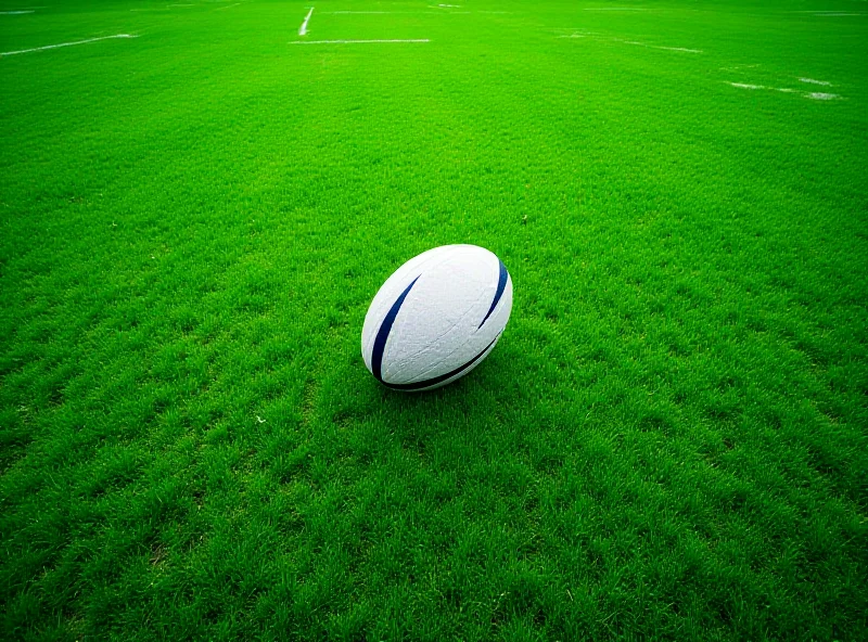 A generic image of a rugby ball on a field