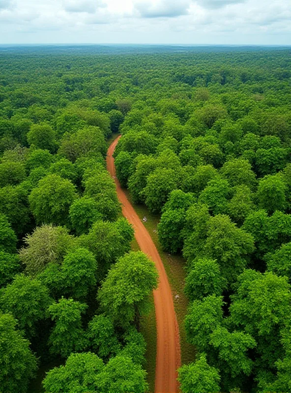 Aerial view of the Makongo forest in Kenya