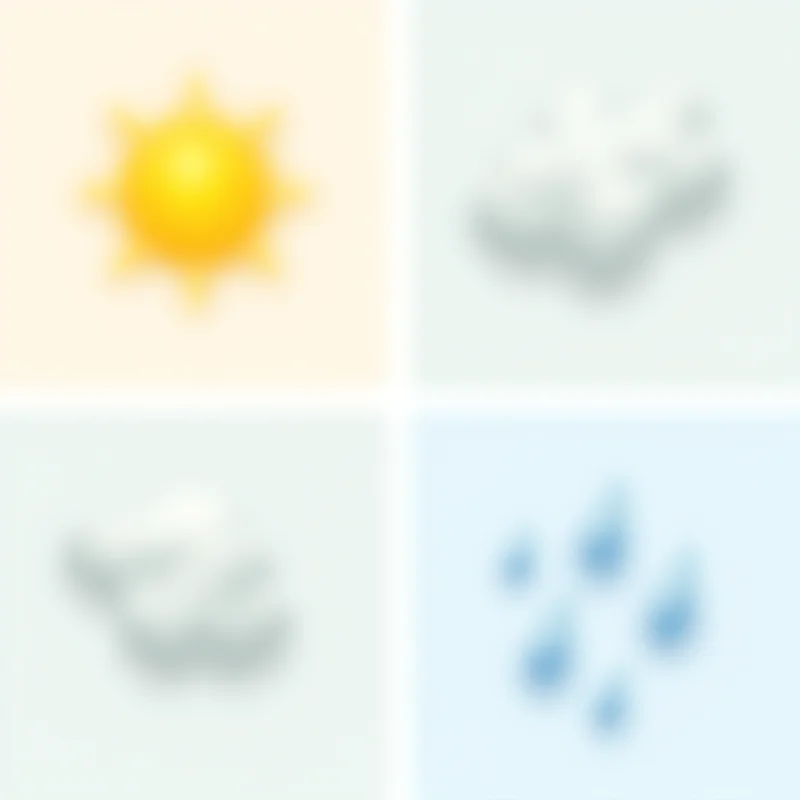 A collage of weather icons representing sun, clouds, rain, and snow.