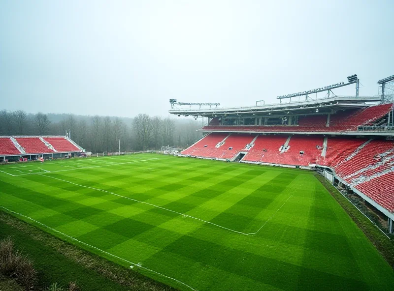 A modern stadium in Dydnia, showcasing the town's unexpected amenities despite its economic challenges.