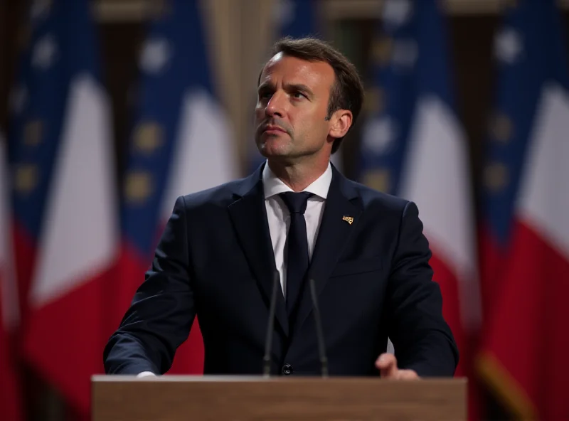 Emmanuel Macron addressing a crowd with the French flag in the background