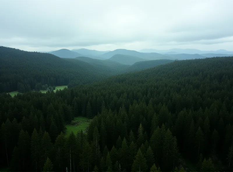 A wide shot of the Broumov region landscape, showcasing a dense forest with a few scattered meadows, under a cloudy sky.