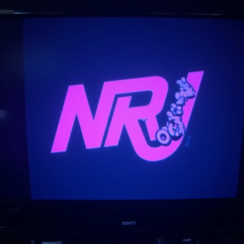 A television screen displaying the NRJ12 logo.