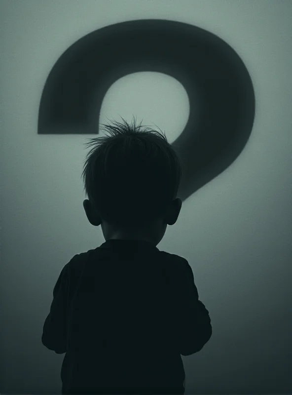 A stylized image depicting a silhouette of a child with a question mark overlayed, symbolizing the allegations of abuse.