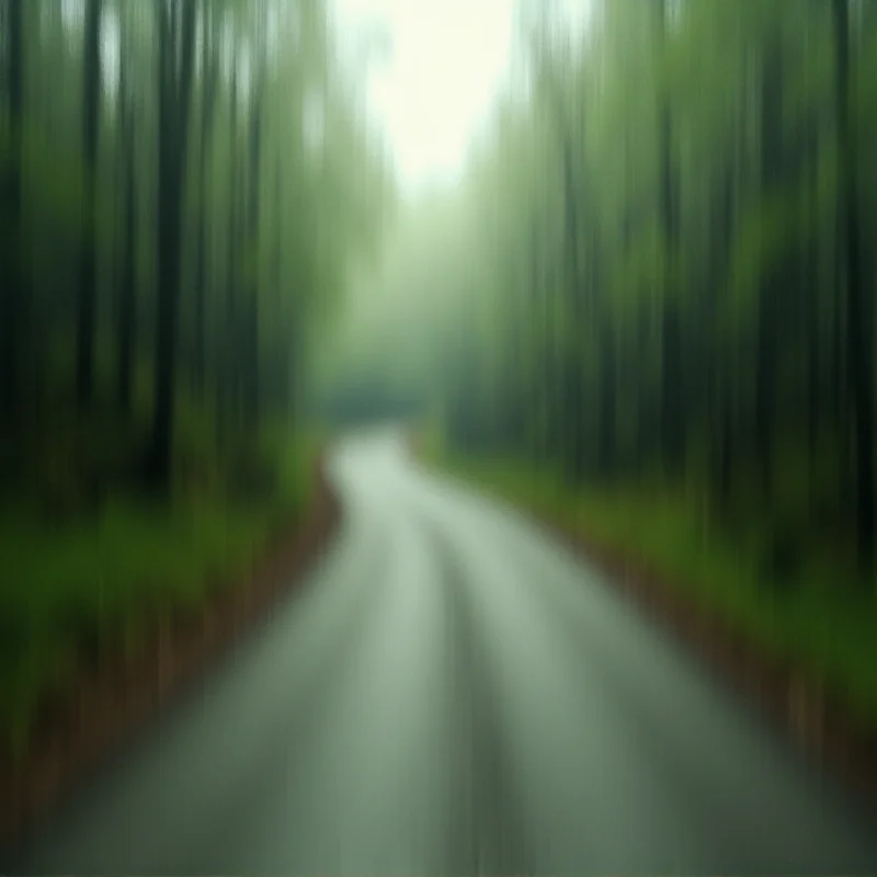 Abstract image of a road winding through a forest, symbolizing life's journey, with a blurred effect to suggest uncertainty and the unknown.