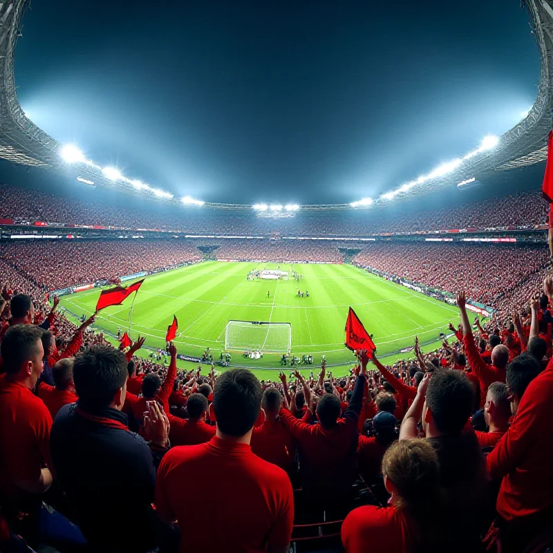 A stadium filled with cheering fans