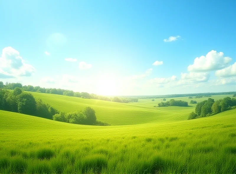 A sunny landscape in Poland with fields and trees, indicating warm weather.