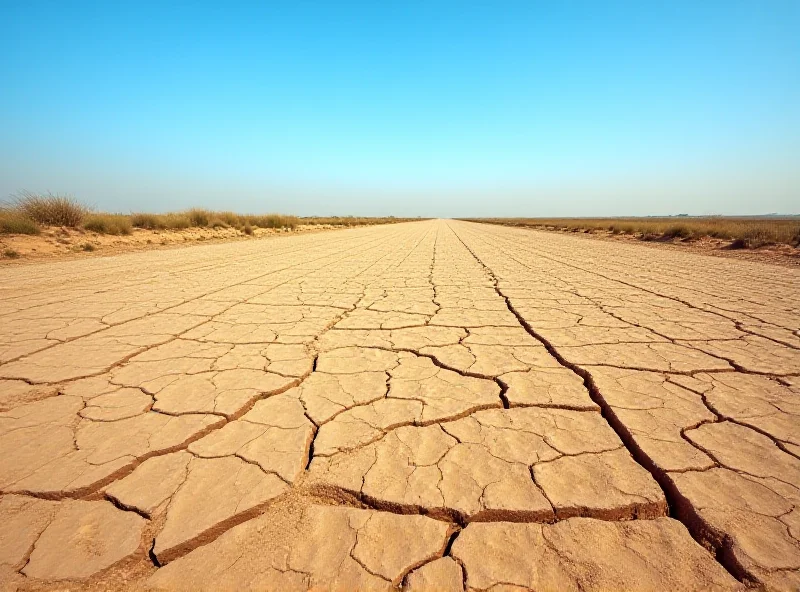 Dry, cracked earth representing drought conditions in Poland