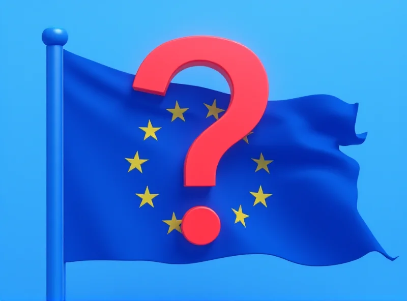 Illustration of the EU flag with a question mark over it, symbolizing the scrutiny over funding.