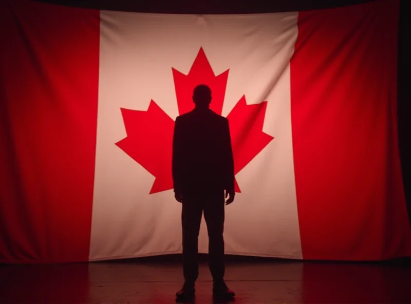 A still from the Molson ad, featuring a person on stage with a large maple leaf flag in the background