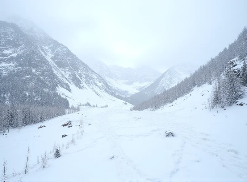 A wide shot of a snow-covered mountain range with visible signs of a recent avalanche, including displaced snow and debris.