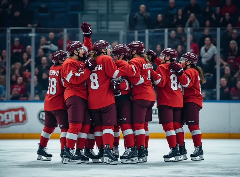 Celebration on the ice after a hockey game win