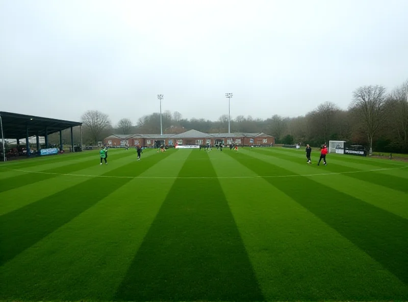 Sunderland's Academy of Light training ground.