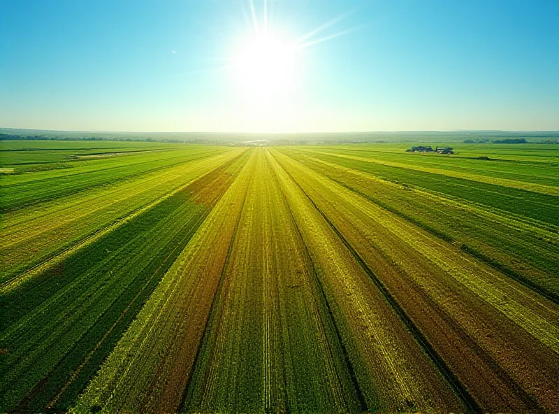 Aerial view of farmland with different crops and soil conditions highlighted by satellite imagery data.