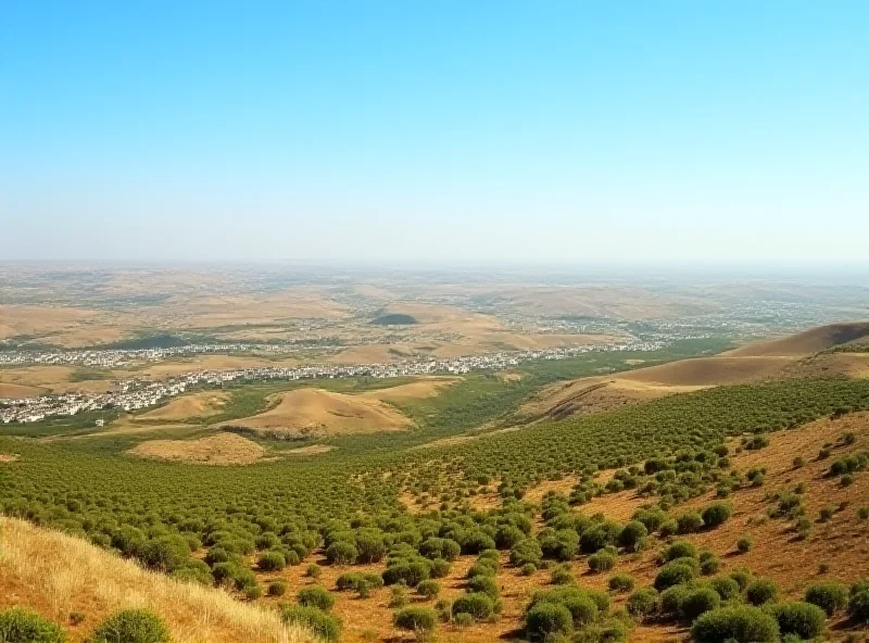 Image of the West Bank landscape