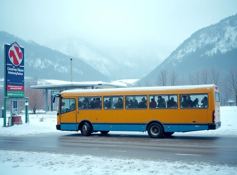 A school bus parked at a gas station in Germany during winter, with snowy mountains in the background.