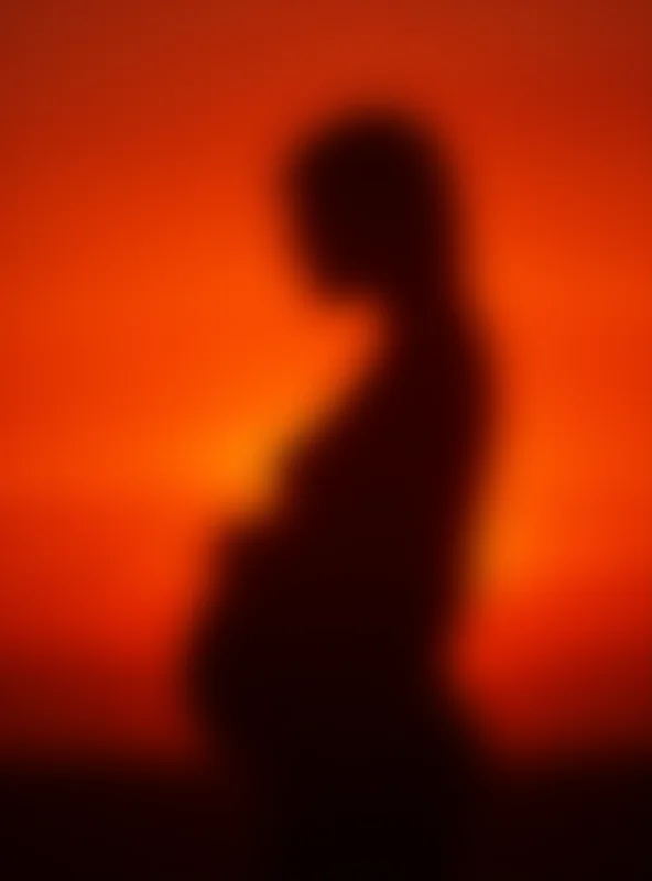 Silhouette of a pregnant woman against a sunset background.