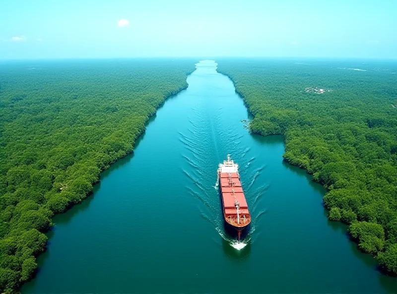 Aerial view of the Panama Canal